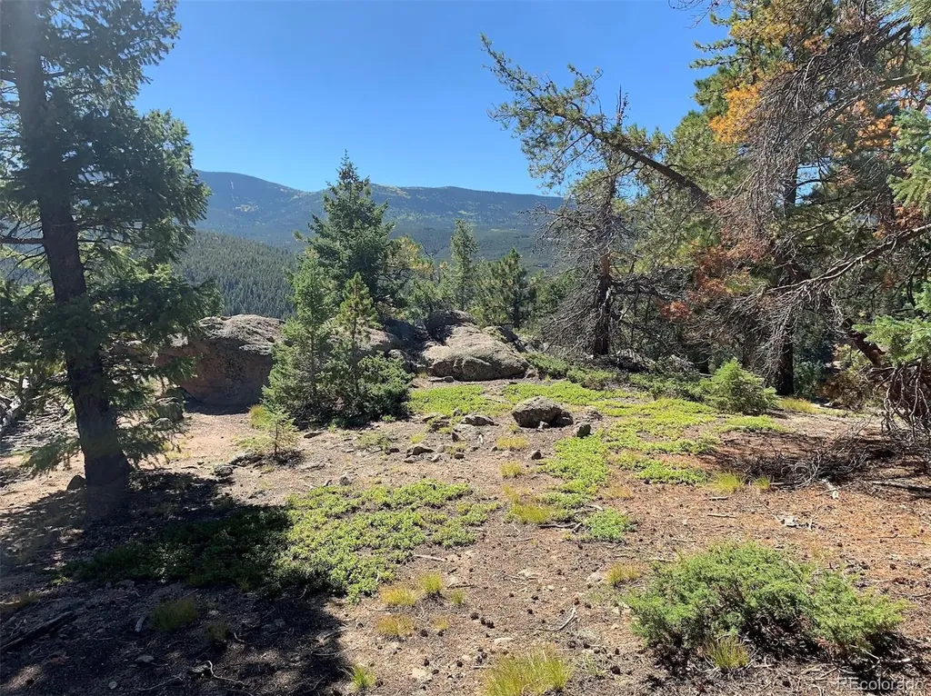 32764 Lodgepole Circle Evergreen CO 80439