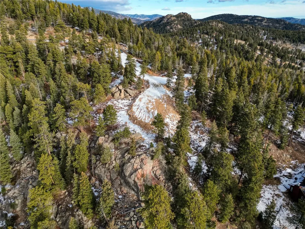 32764 Lodgepole Circle Evergreen CO 80439