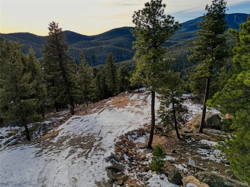 32764 Lodgepole Circle Evergreen CO 80439