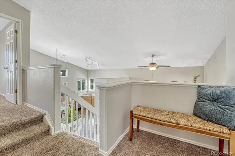 16363 Bluebell Place Parker CO 80134