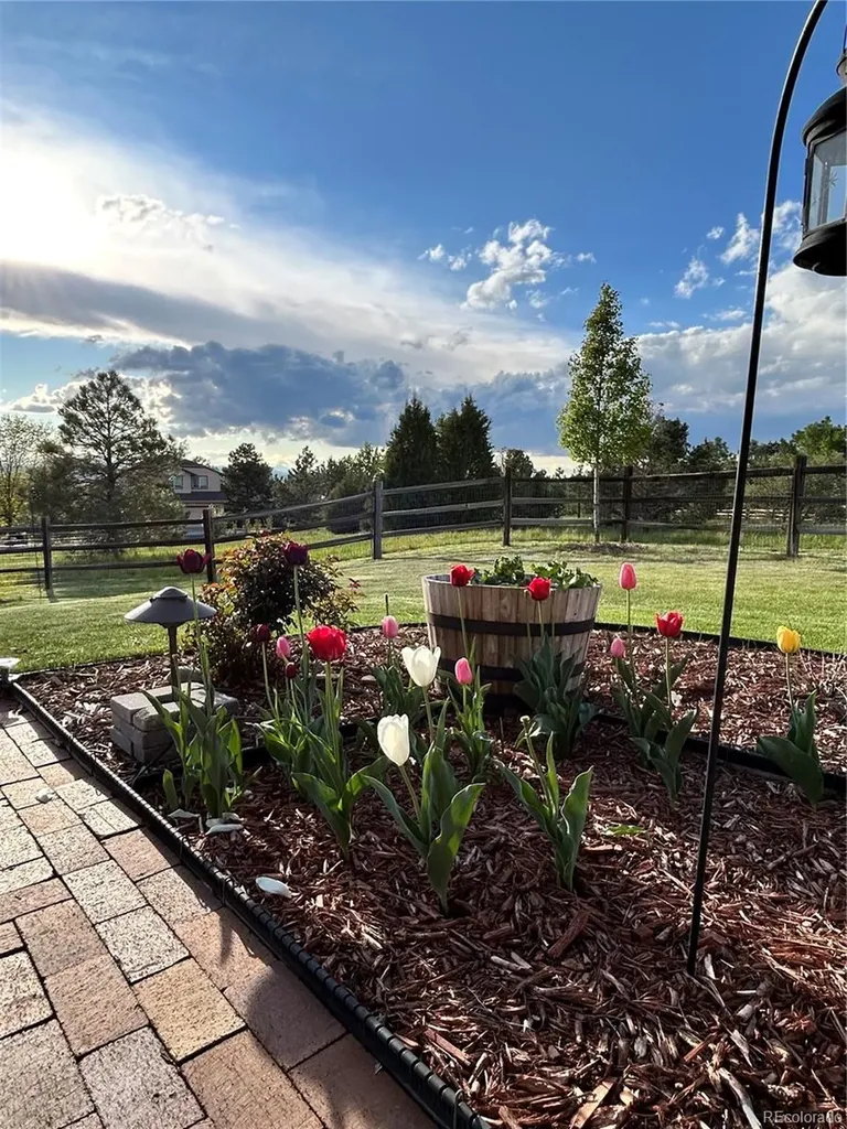1705 Pinyon Drive Castle Rock CO 80104