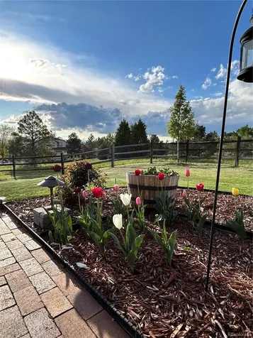 1705 Pinyon Drive Castle Rock CO 80104