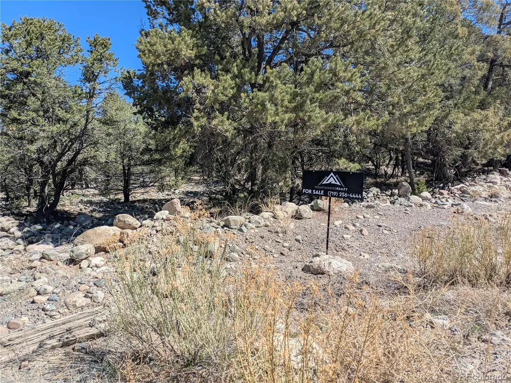 2202 Spanish Creek Road Crestone CO 81131