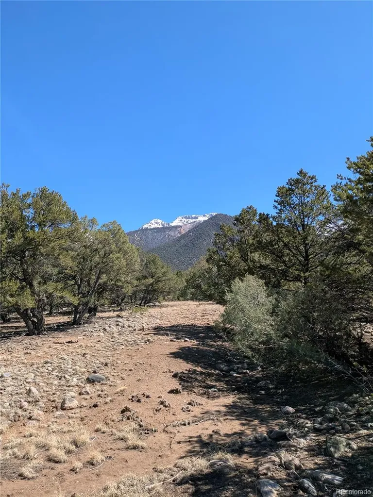 2202 Spanish Creek Road Crestone CO 81131