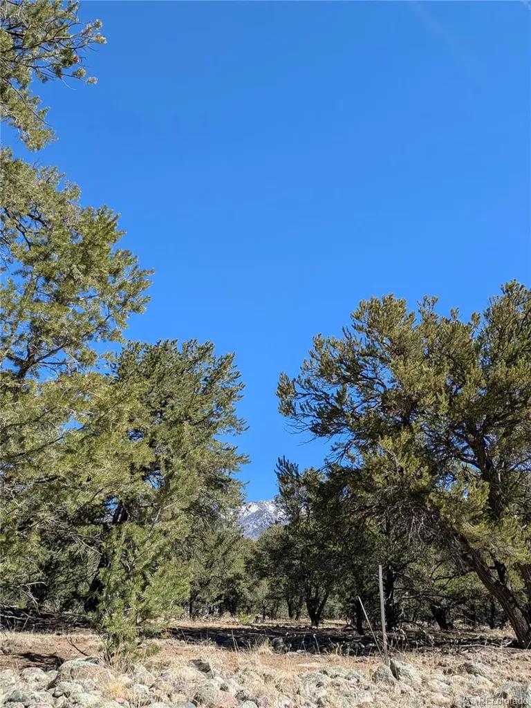 2202 Spanish Creek Road Crestone CO 81131
