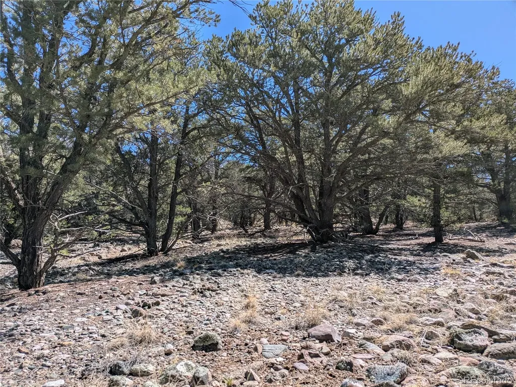 2202 Spanish Creek Road Crestone CO 81131