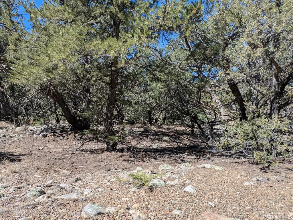 2202 Spanish Creek Road Crestone CO 81131