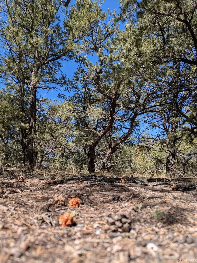 2202 Spanish Creek Road Crestone CO 81131