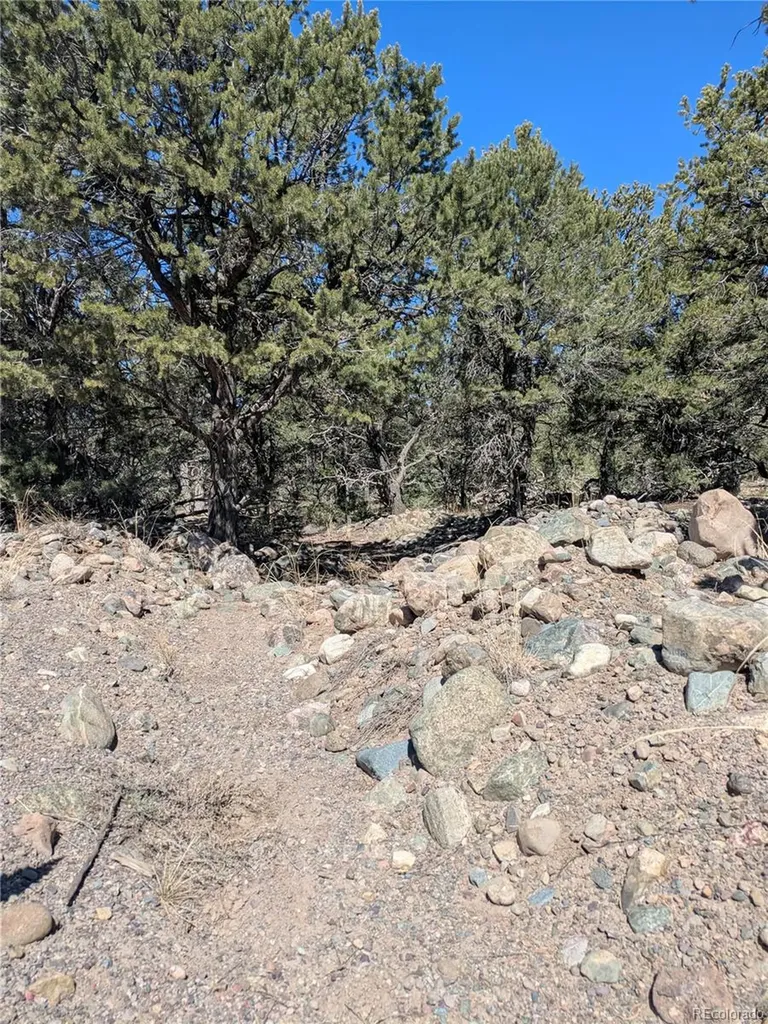 2202 Spanish Creek Road Crestone CO 81131