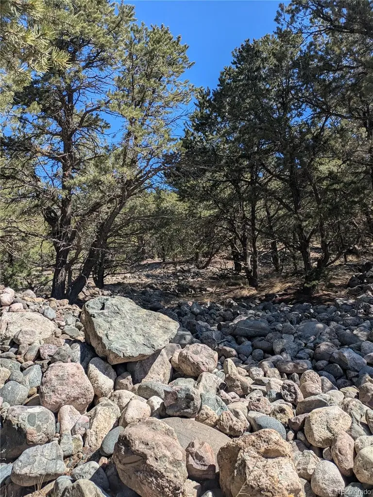 2202 Spanish Creek Road Crestone CO 81131