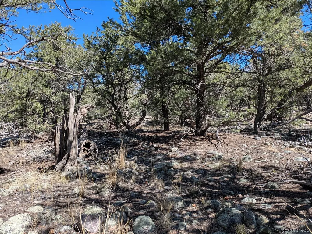2202 Spanish Creek Road Crestone CO 81131