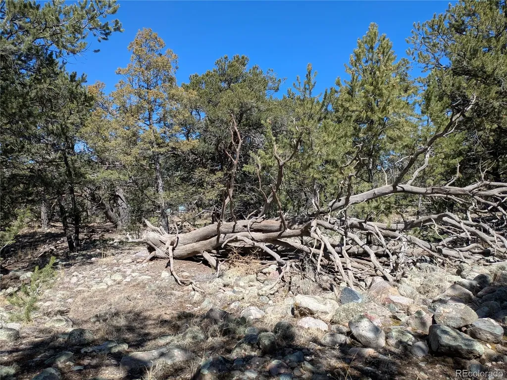 2202 Spanish Creek Road Crestone CO 81131