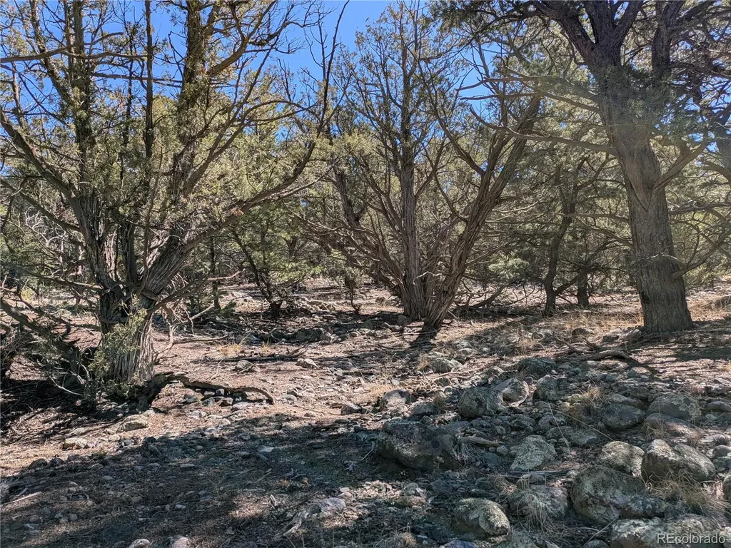 2202 Spanish Creek Road Crestone CO 81131