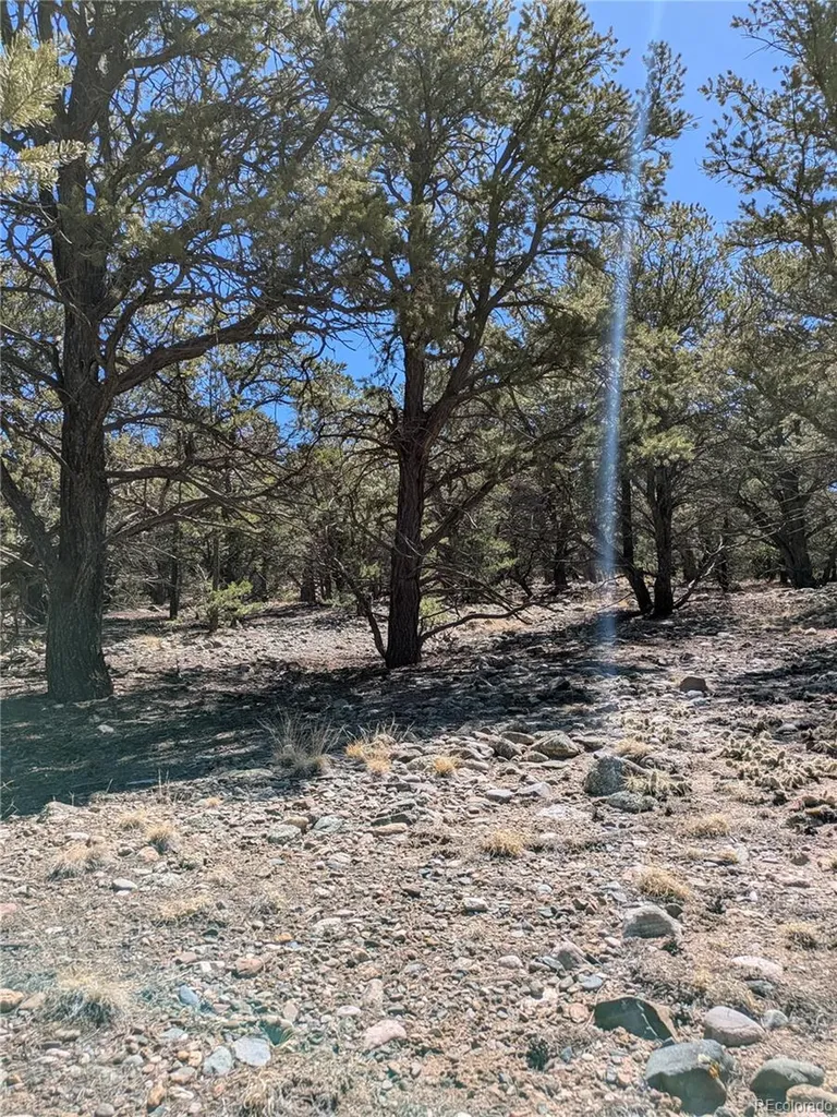2202 Spanish Creek Road Crestone CO 81131