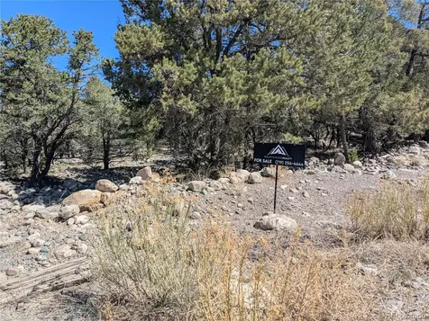 2202 Spanish Creek Road Crestone CO 81131
