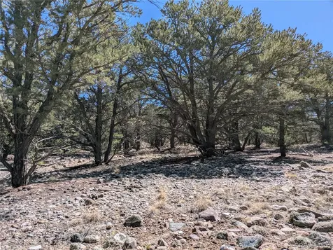 2202 Spanish Creek Road Crestone CO 81131