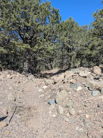 2202 Spanish Creek Road Crestone CO 81131