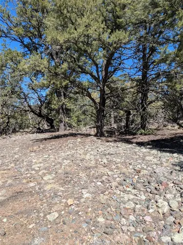 2202 Spanish Creek Road Crestone CO 81131