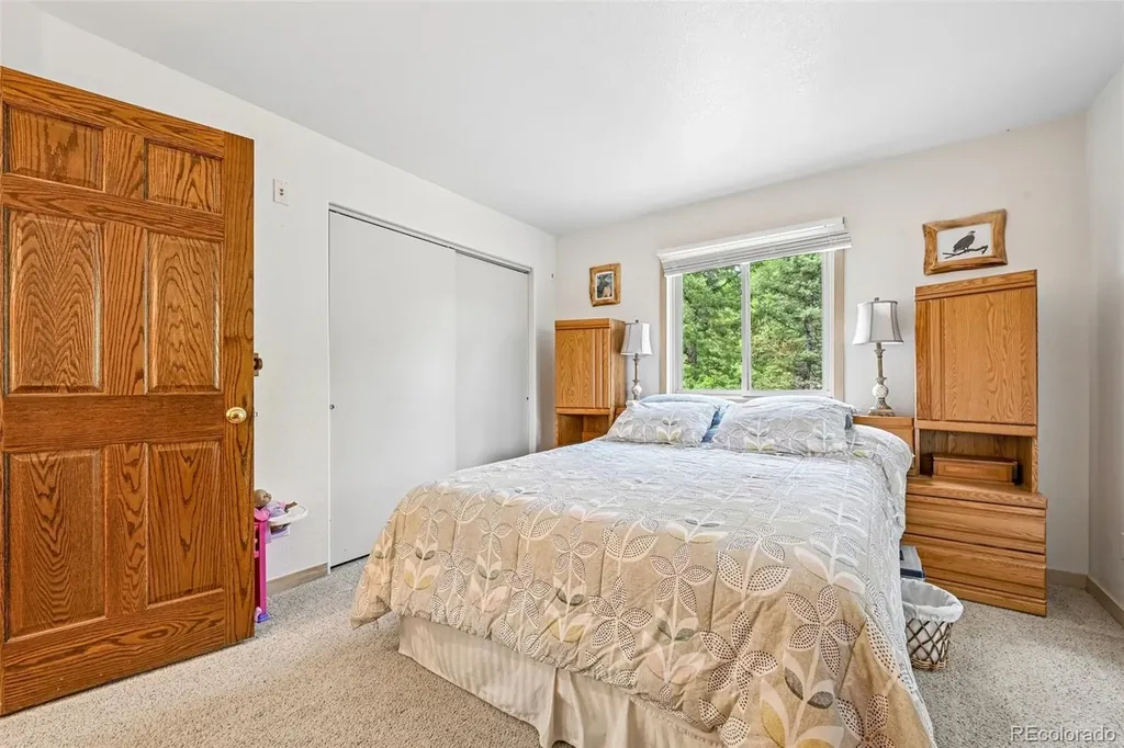 30473 Kings Valley Drive Conifer CO 80433