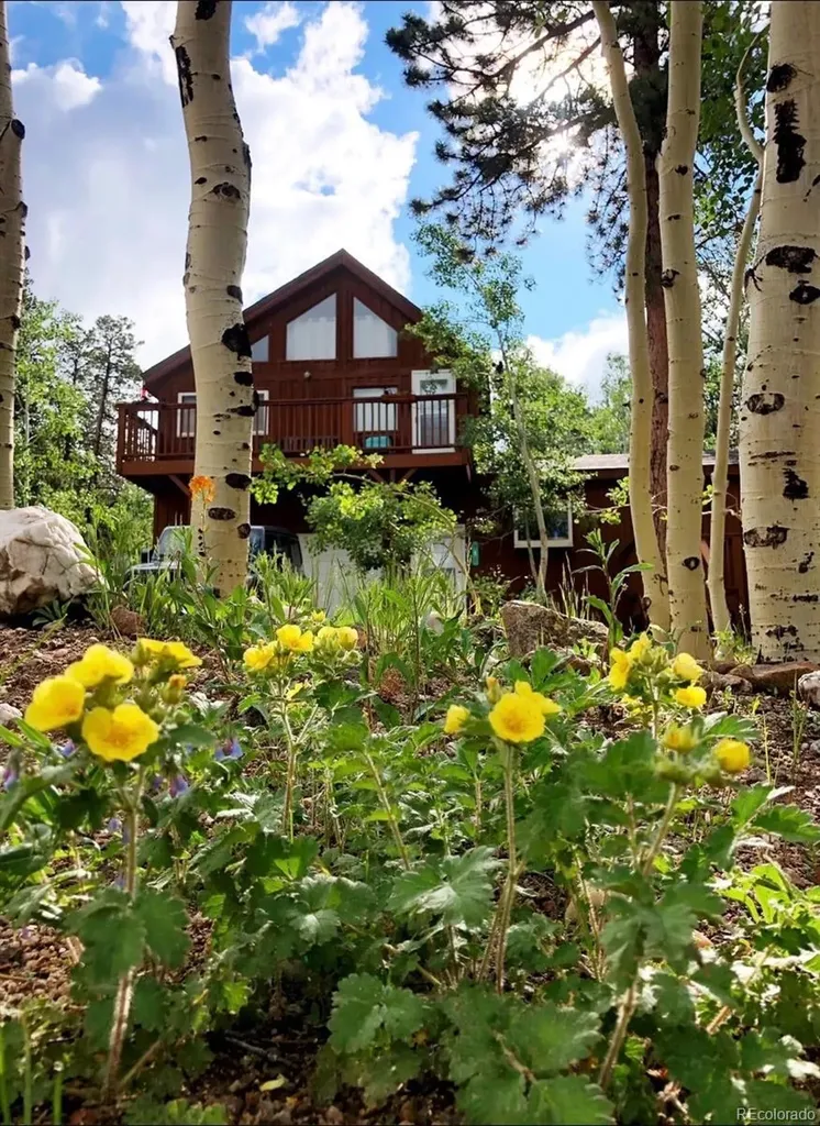 2 Debra Ann Road Golden CO 80403