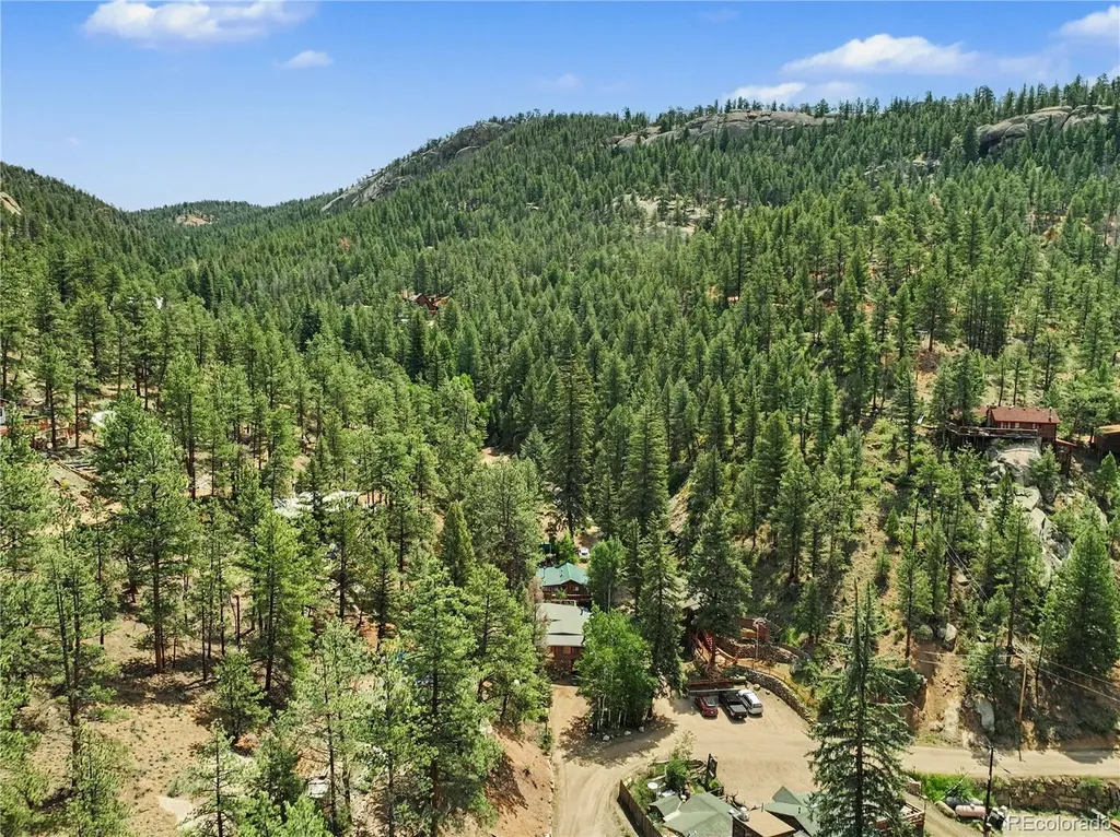 15916 S Elk Creek Road Pine CO 80470