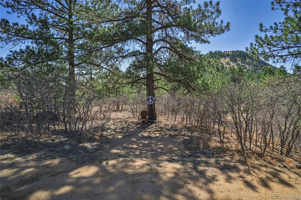 640 Ridgeway Drive Cotopaxi CO 81223