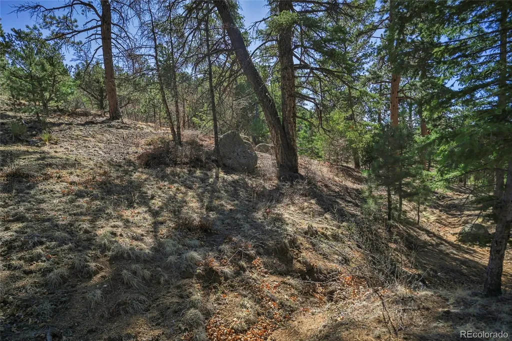 640 Ridgeway Drive Cotopaxi CO 81223