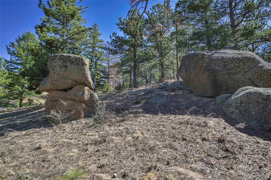 640 Ridgeway Drive Cotopaxi CO 81223