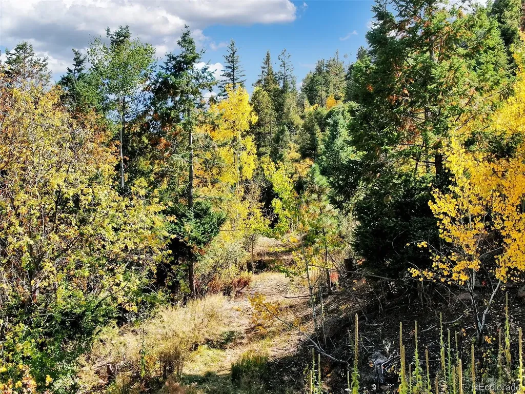 5265 Kulsa Road Cascade CO 80809