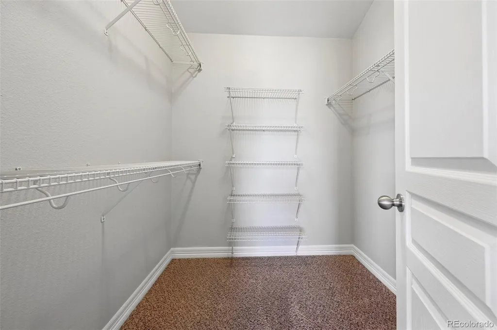6914 Dusty Miller Way Colorado Springs CO 80908