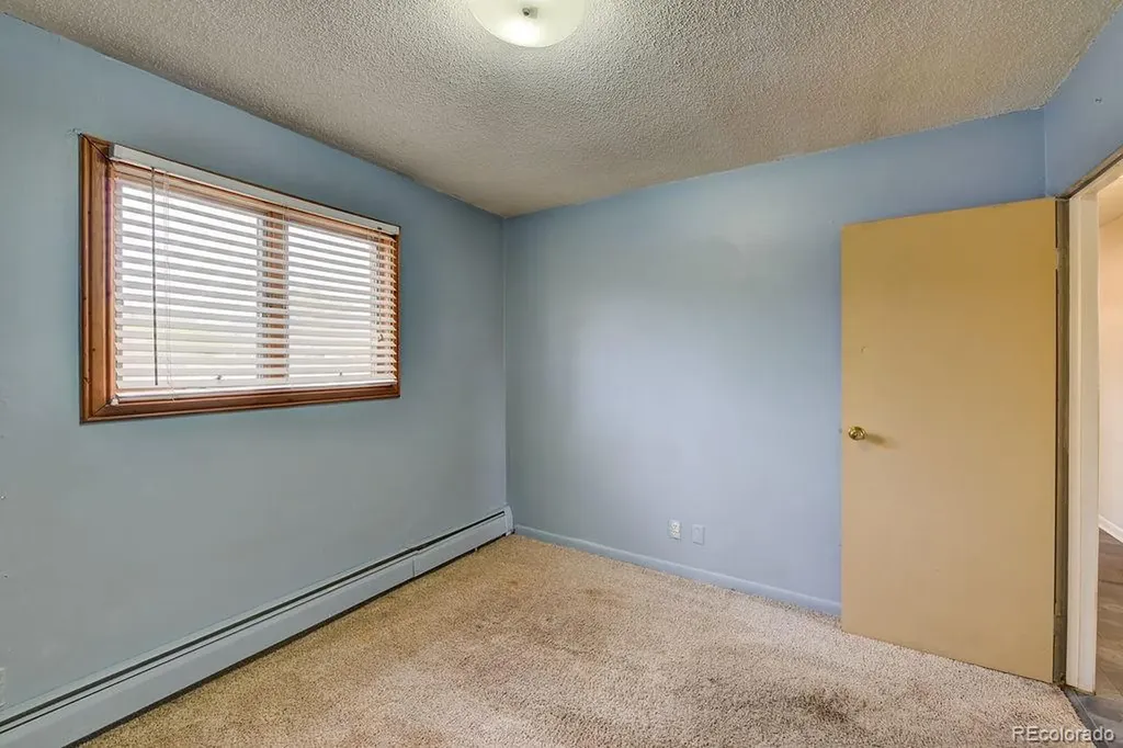 607 S Railroad Street Buena Vista CO 81211