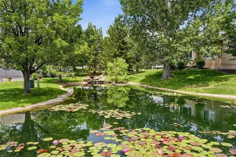 13679 W 62nd Drive Arvada CO 80004