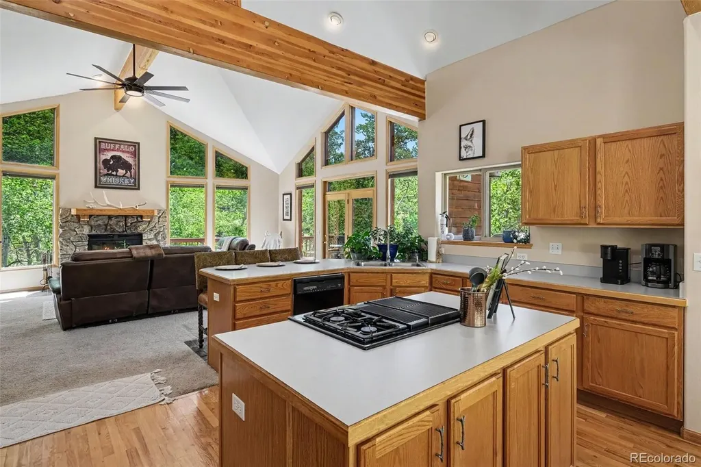 1211 Hughesville Road Black Hawk CO 80422