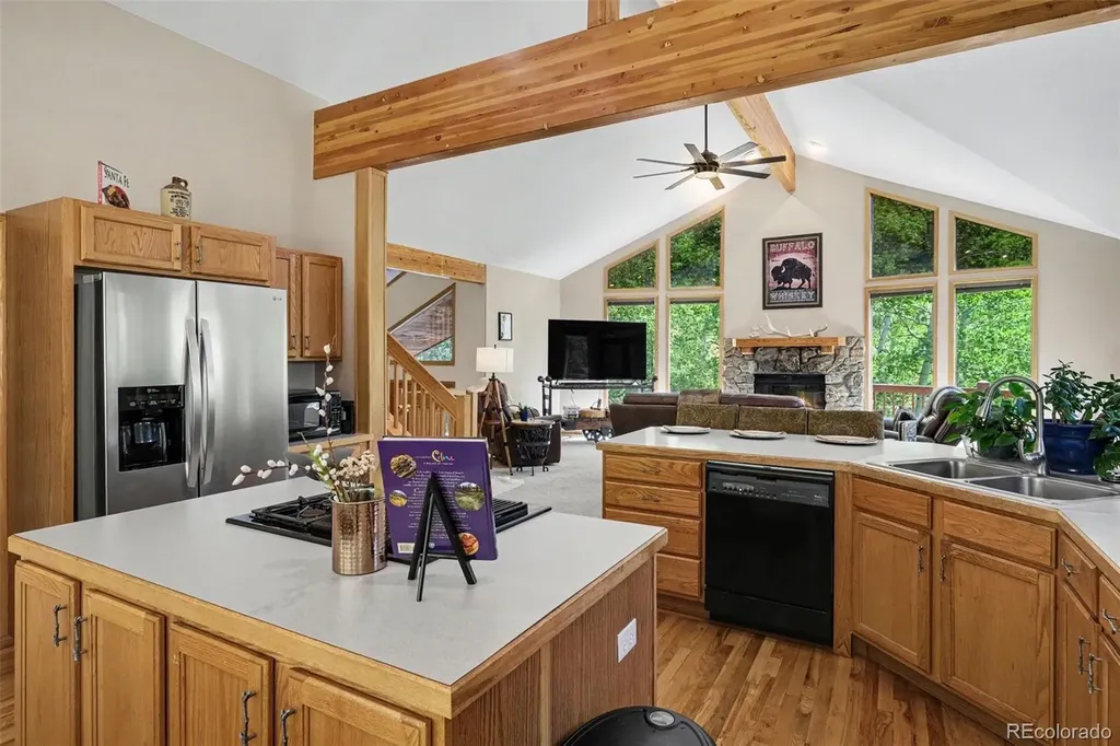 1211 Hughesville Road Black Hawk CO 80422