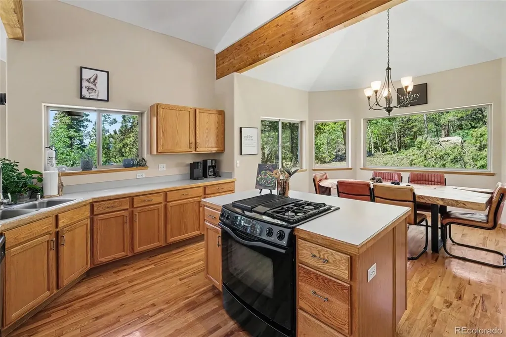 1211 Hughesville Road Black Hawk CO 80422