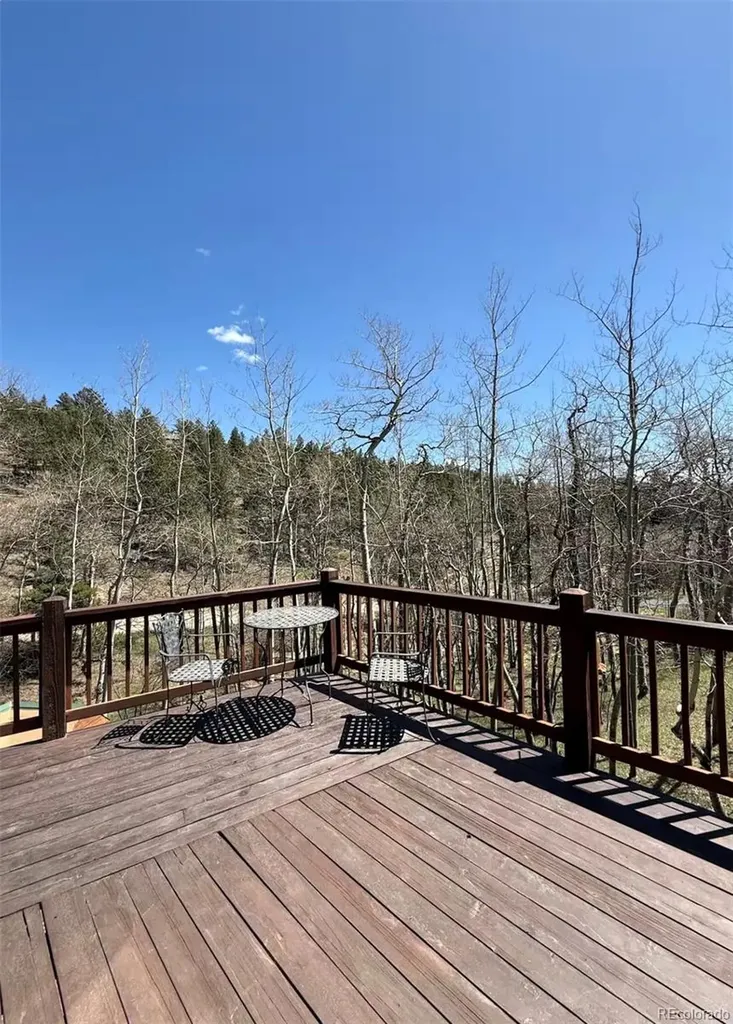 1211 Hughesville Road Black Hawk CO 80422