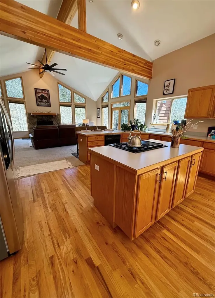 1211 Hughesville Road Black Hawk CO 80422