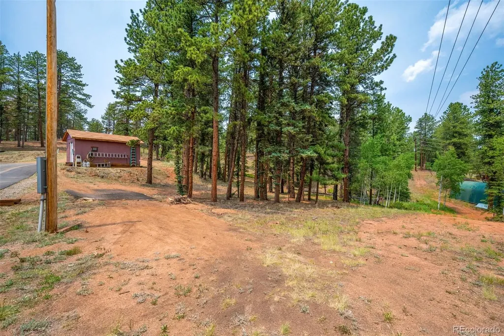 156 Fossil Creek Road Florissant CO 80816