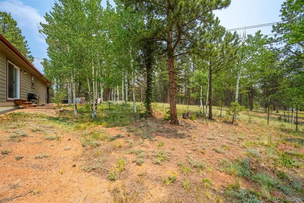 156 Fossil Creek Road Florissant CO 80816