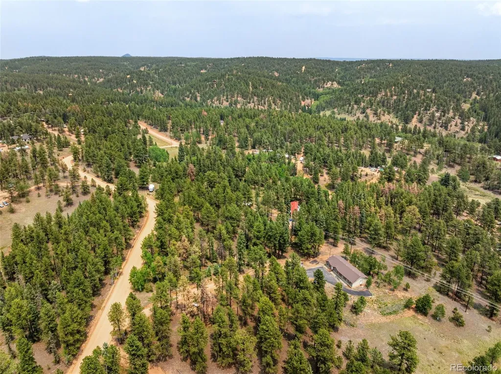 156 Fossil Creek Road Florissant CO 80816