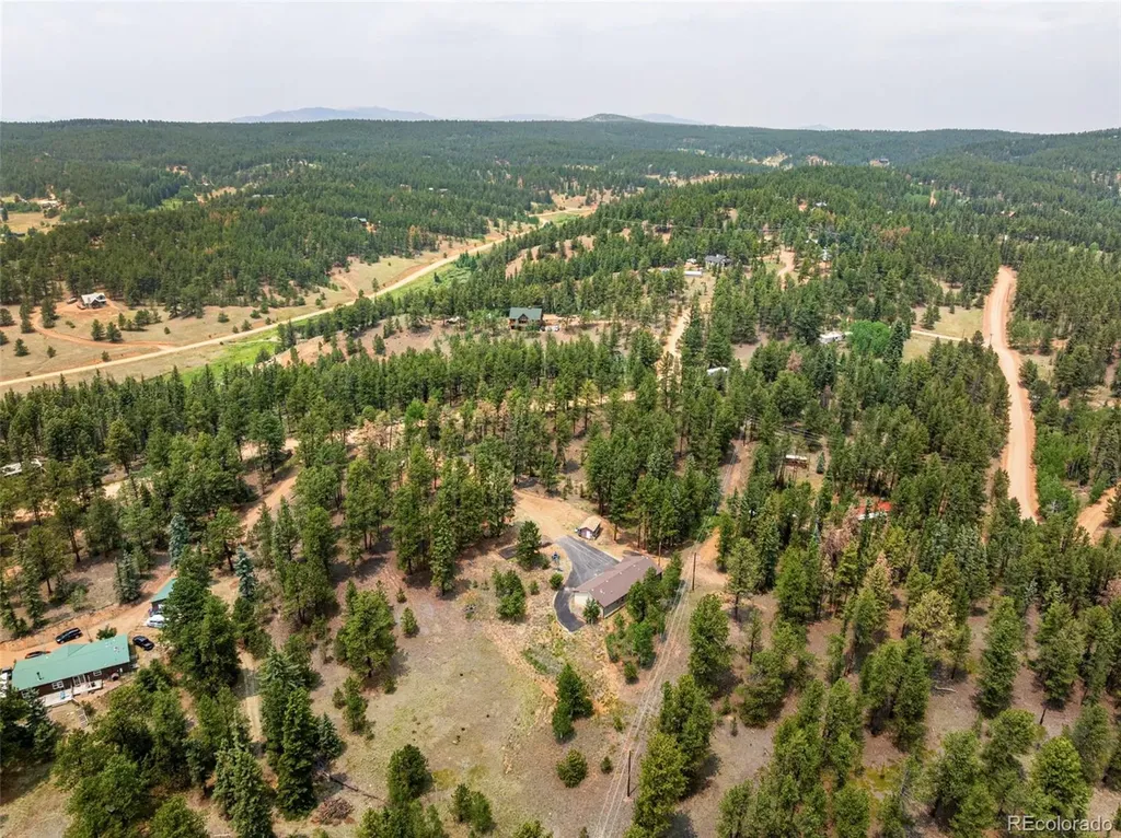 156 Fossil Creek Road Florissant CO 80816