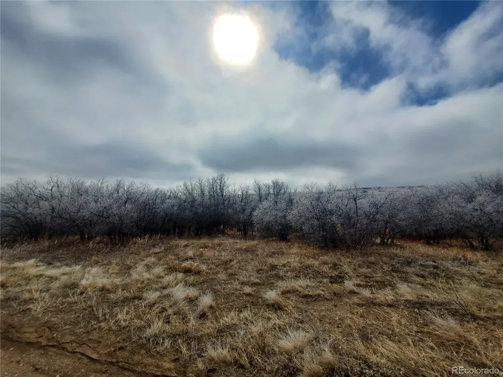 000 Thacker Road Colorado City CO 81069