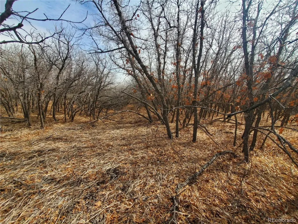 000 Thacker Road Colorado City CO 81069