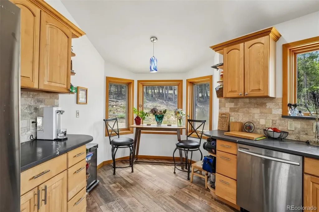 480 N County Road Rollinsville CO 80474