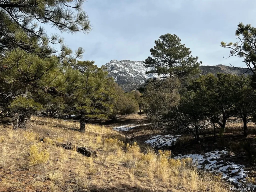 1153 Badger Road Crestone CO 81131