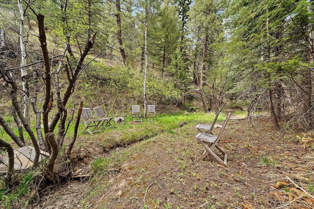 307 Snyder Mountain Road Evergreen CO 80439