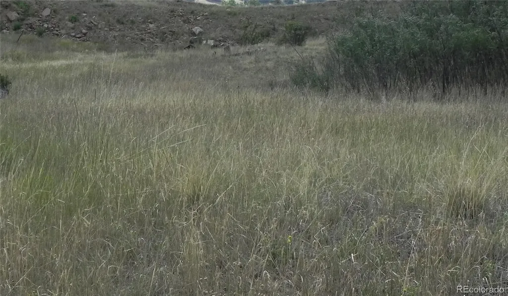 Lot 41-42 S 1st Street Cripple Creek CO 80813