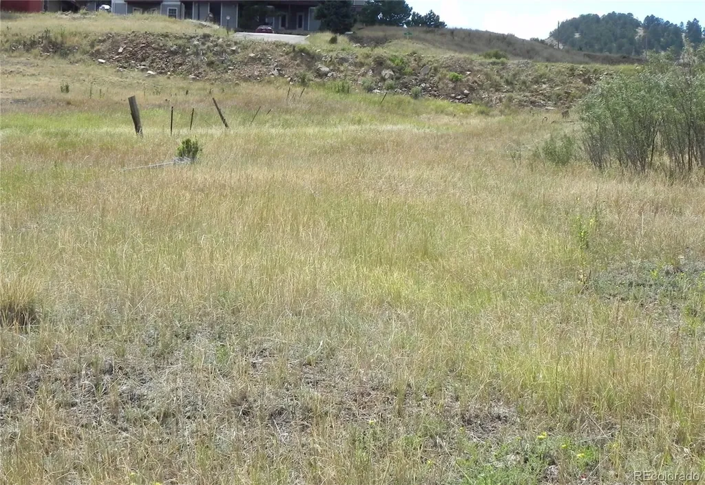 Lot 41-42 S 1st Street Cripple Creek CO 80813