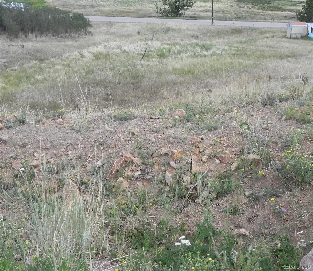 Lot 41-42 S 1st Street Cripple Creek CO 80813