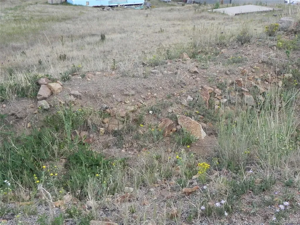 Lot 41-42 S 1st Street Cripple Creek CO 80813